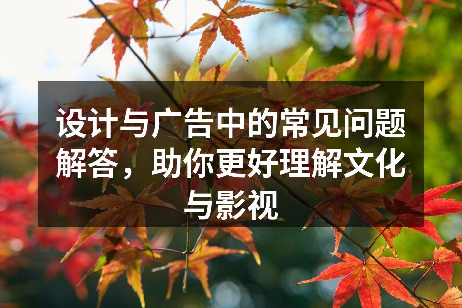设计风格选择示例